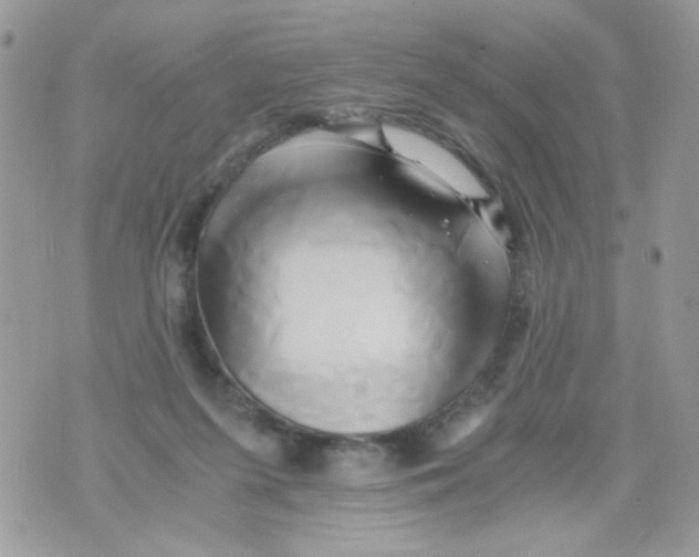 X0000071380215200607212220