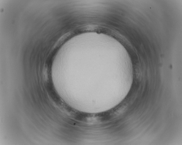 X0000071380216200607212220