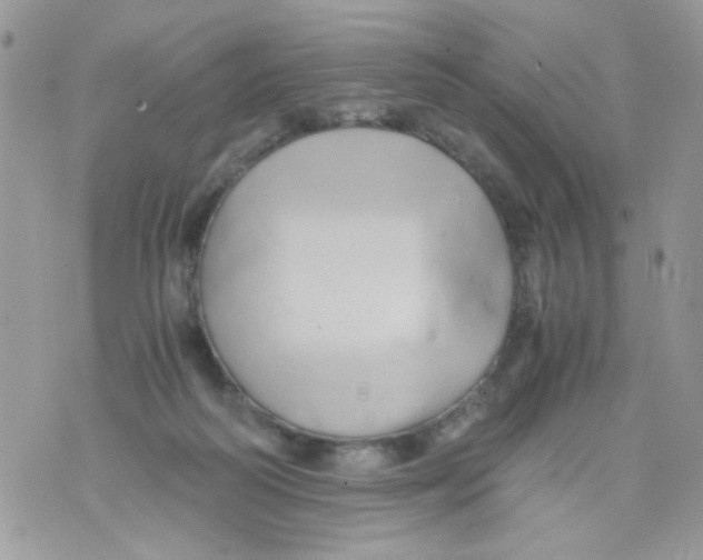 X0000071380218200607212220