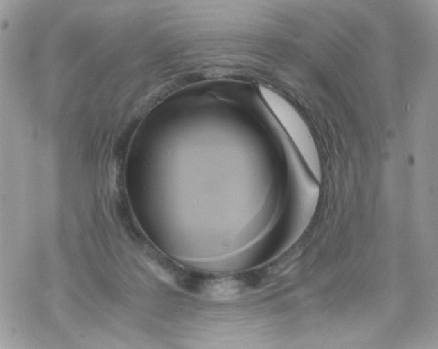 X0000071380219200607212220