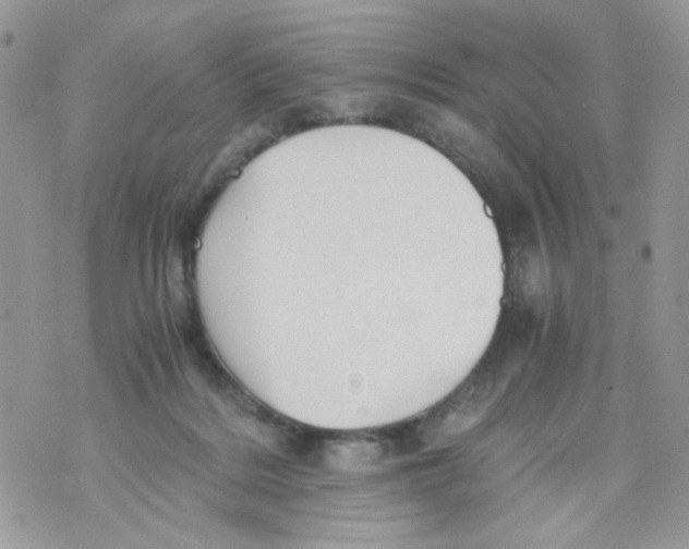 X0000071380220200607212220