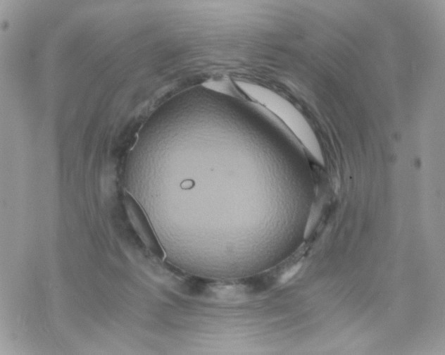 X0000071380221200607212220