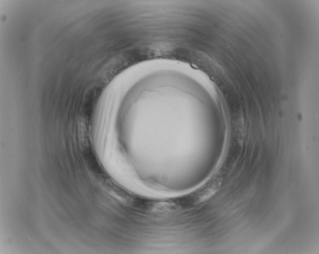 X0000071380222200607212220