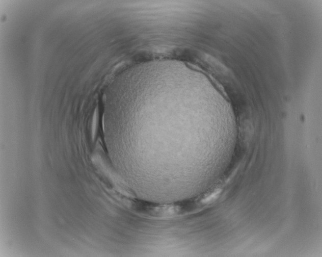 X0000071380225200607212220