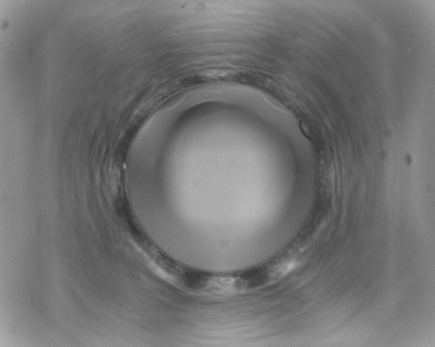 X0000071380227200607212220