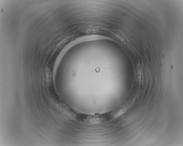 X0000071380228200607212220