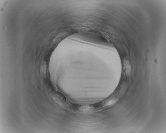 X0000071380231200607212220