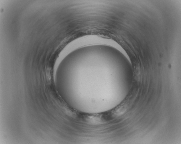 X0000071380232200607212220