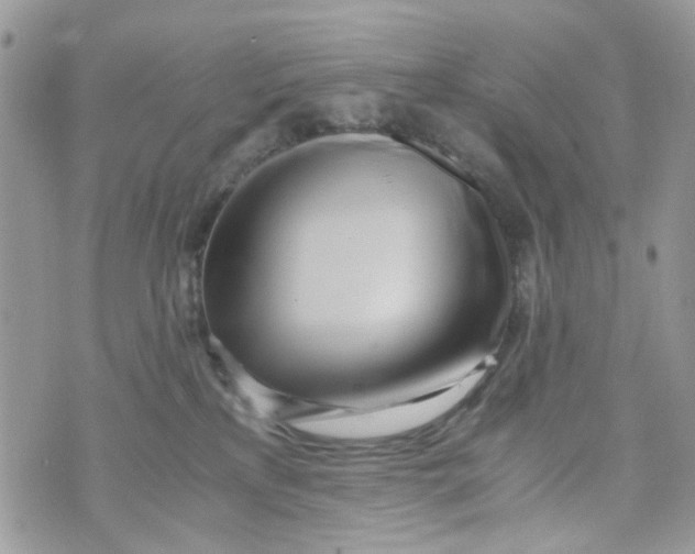 X0000071380233200607212220