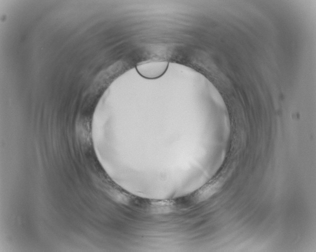 X0000071380240200607212220