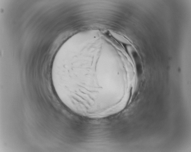 X0000071380241200607212219