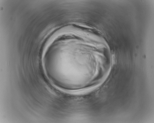 X0000071380243200607212219