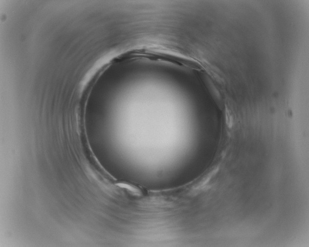 X0000071380244200607212219