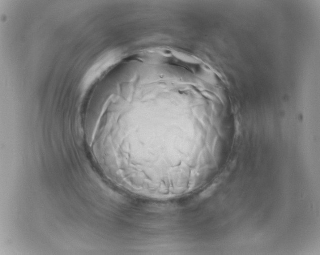 X0000071380245200607212219