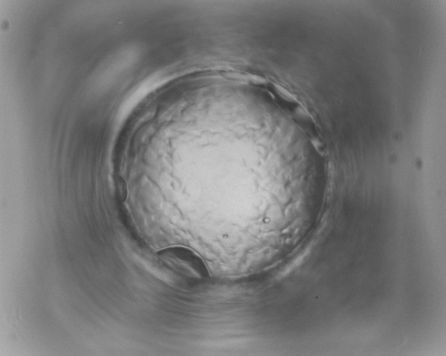 X0000071380246200607212219