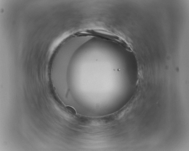 X0000071380248200607212219