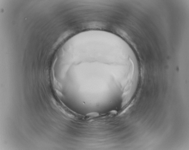 X0000071380249200607212219