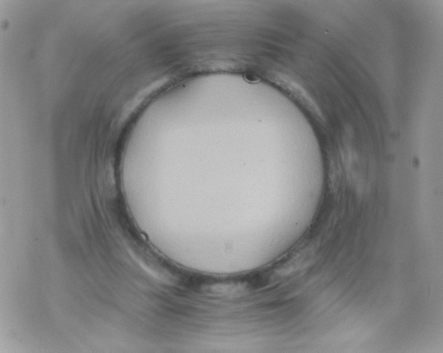 X0000071380251200607212219