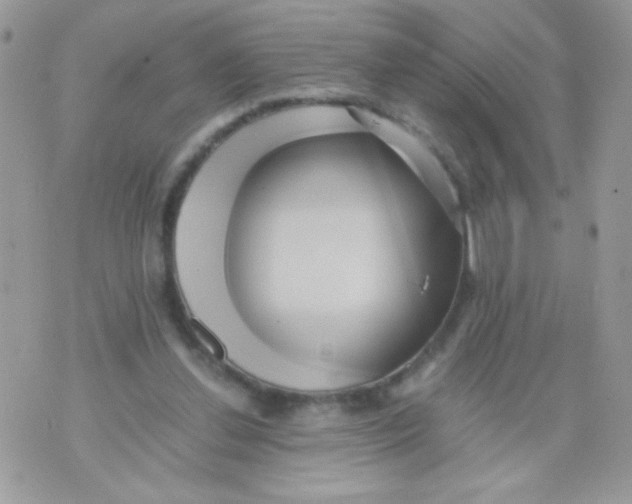 X0000071380252200607212219