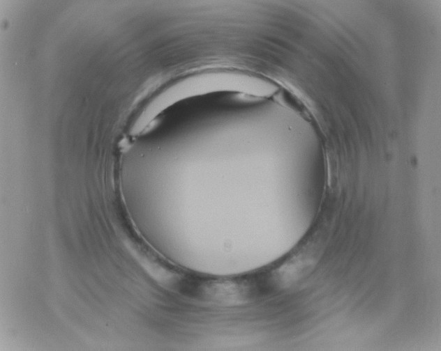 X0000071380253200607212220