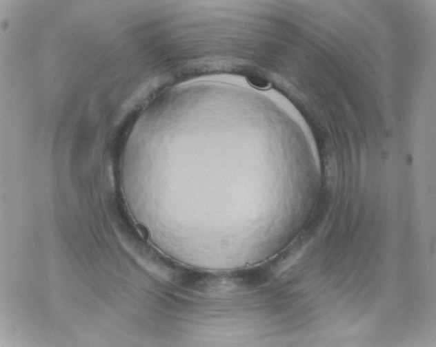 X0000071380254200607212220