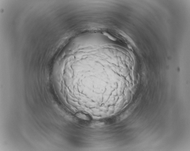 X0000071380257200607212220