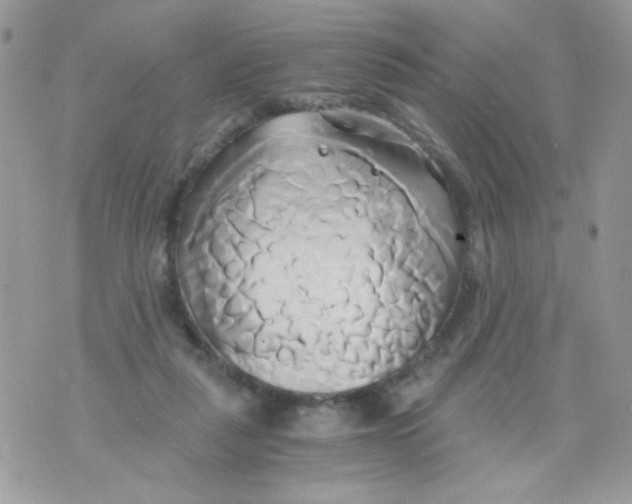 X0000071380259200607212220