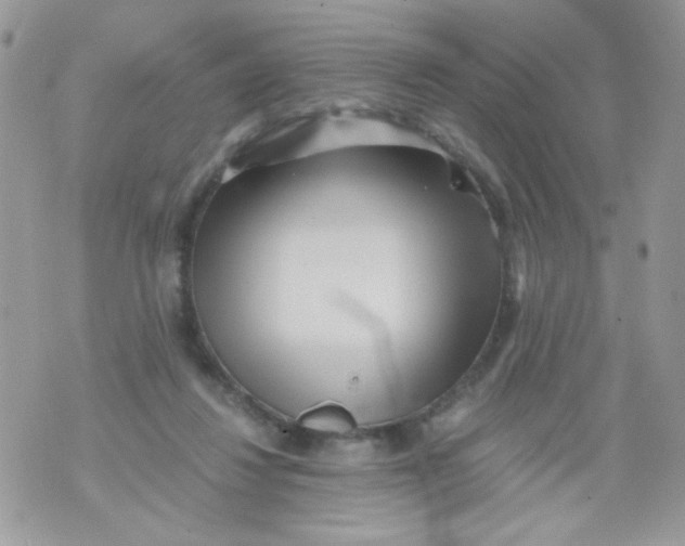 X0000071380260200607212220