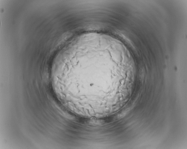 X0000071380261200607212220