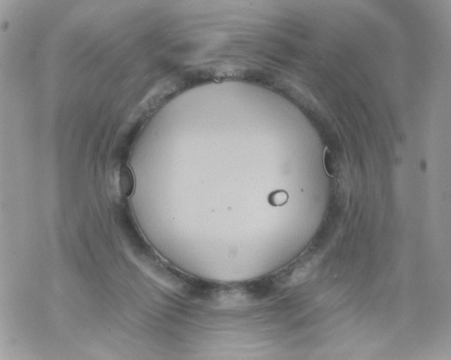 X0000071380262200607212220