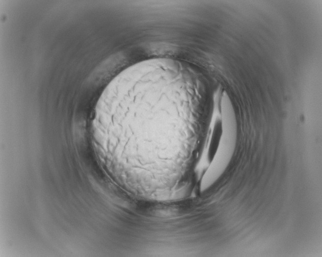 X0000071380263200607212220