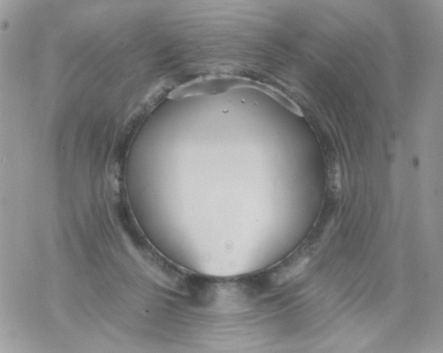 X0000071380264200607212220