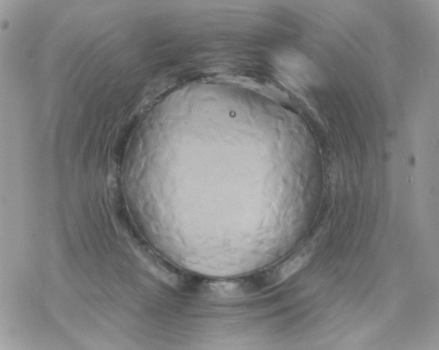 X0000071380265200607212220