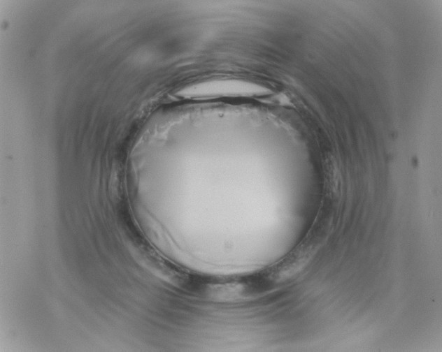 X0000071380266200607212220