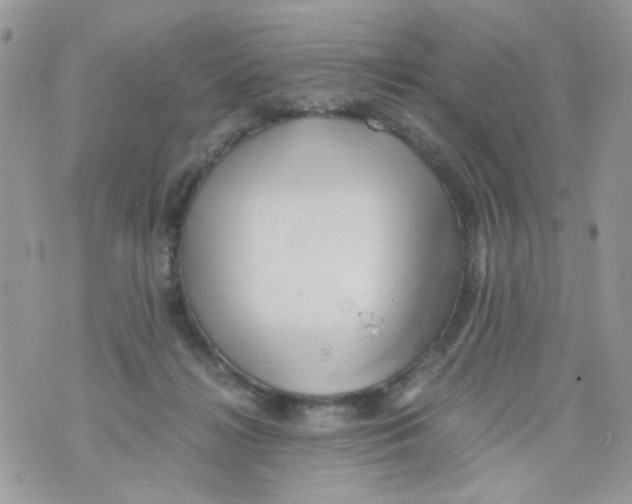 X0000071380268200607212220