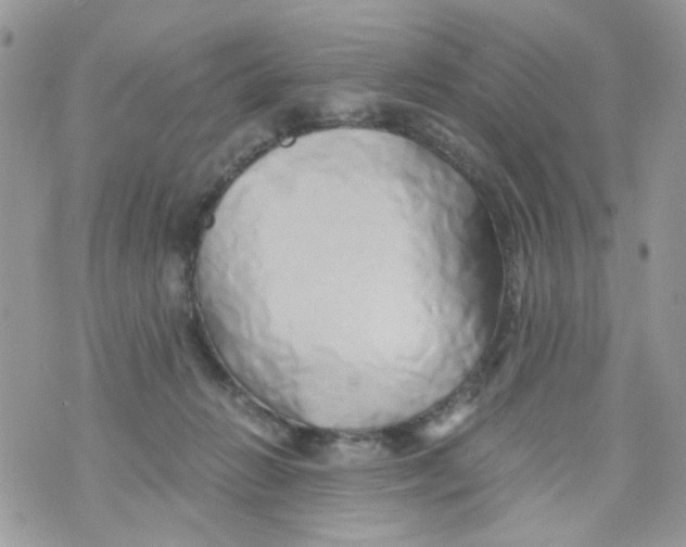 X0000071380270200607212220