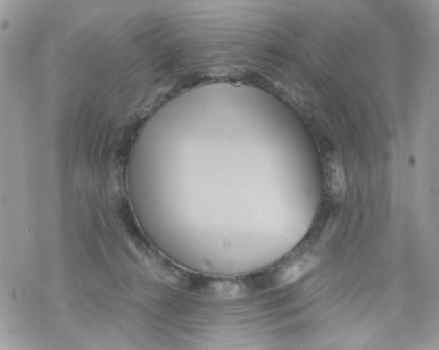 X0000071380272200607212220