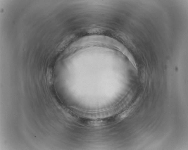 X0000071380273200607212220