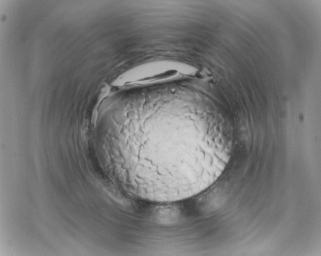 X0000071380275200607212220