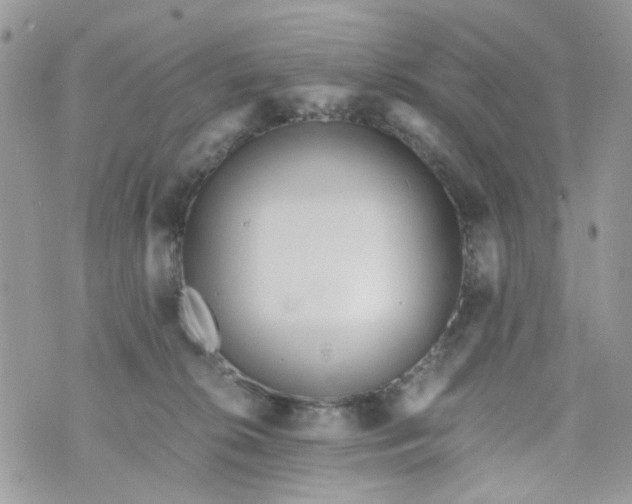 X0000071380276200607212220