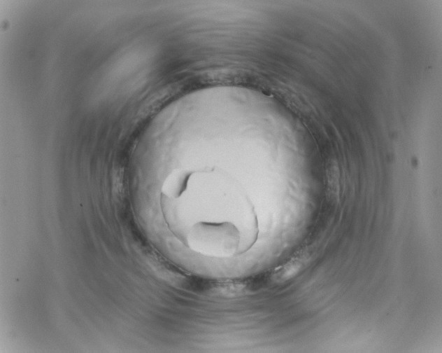 X0000071380278200607212220