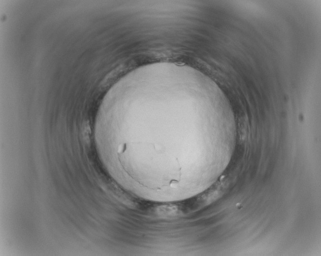 X0000071380279200607212220