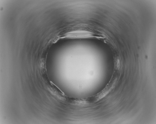 X0000071380284200607212220