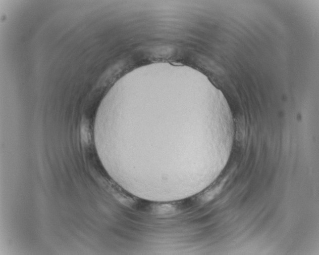 X0000071380287200607212220