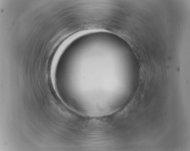 X0000071380290200607212219