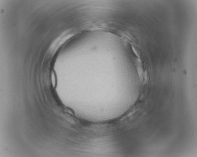 X0000071380291200607212219