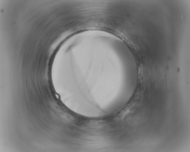 X0000071380292200607212219