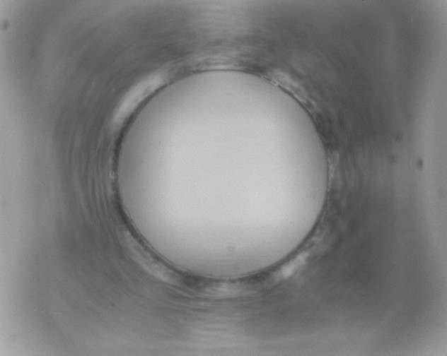 X0000071380293200607212219