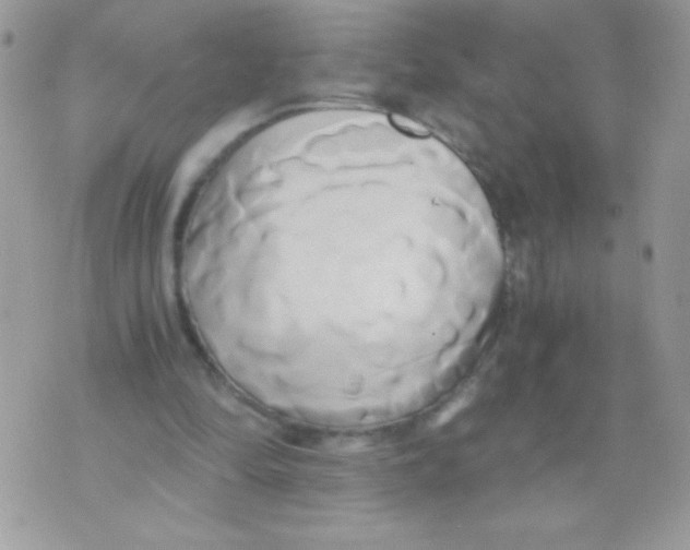 X0000071380294200607212219