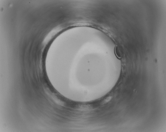 X0000071380296200607212219